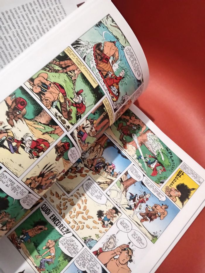 BD Oumpah-Pah Tome 1 - Le Peau Rouge - photo numéro 7