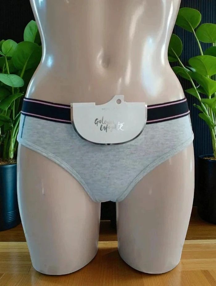 Lot de 2 slips Galeries Lafayette 12 ans - photo numéro 2