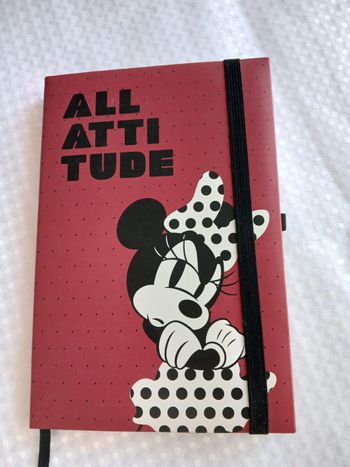 Carnet minnie