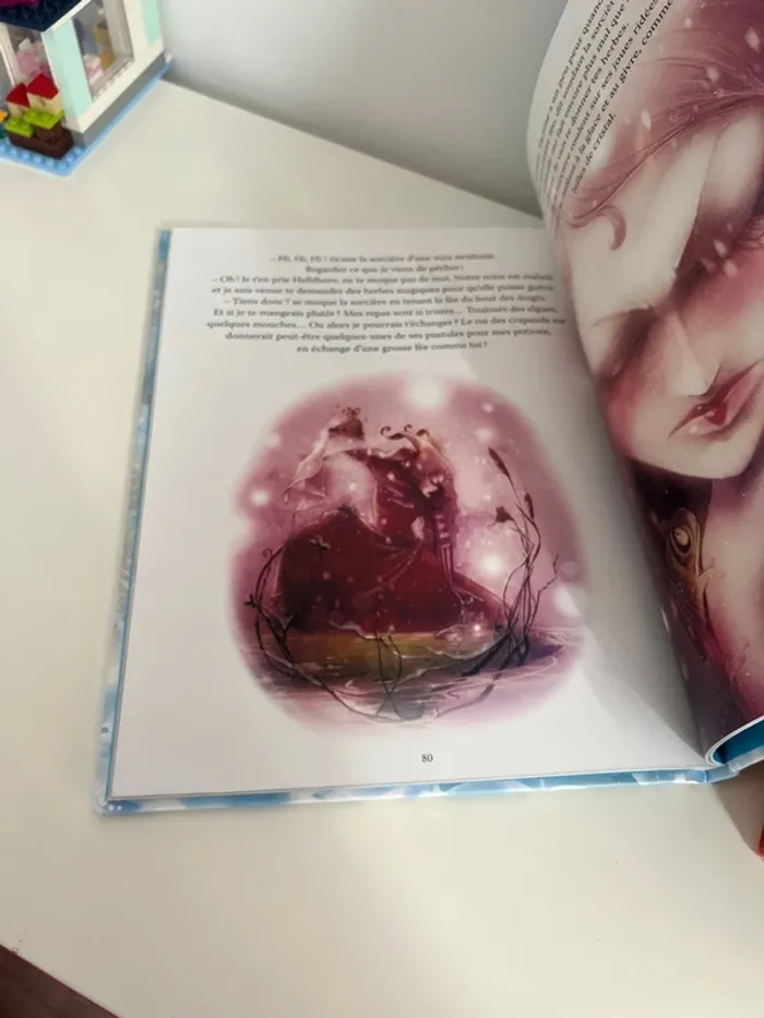 Livre 20 histoires des fée des neiges - photo numéro 3