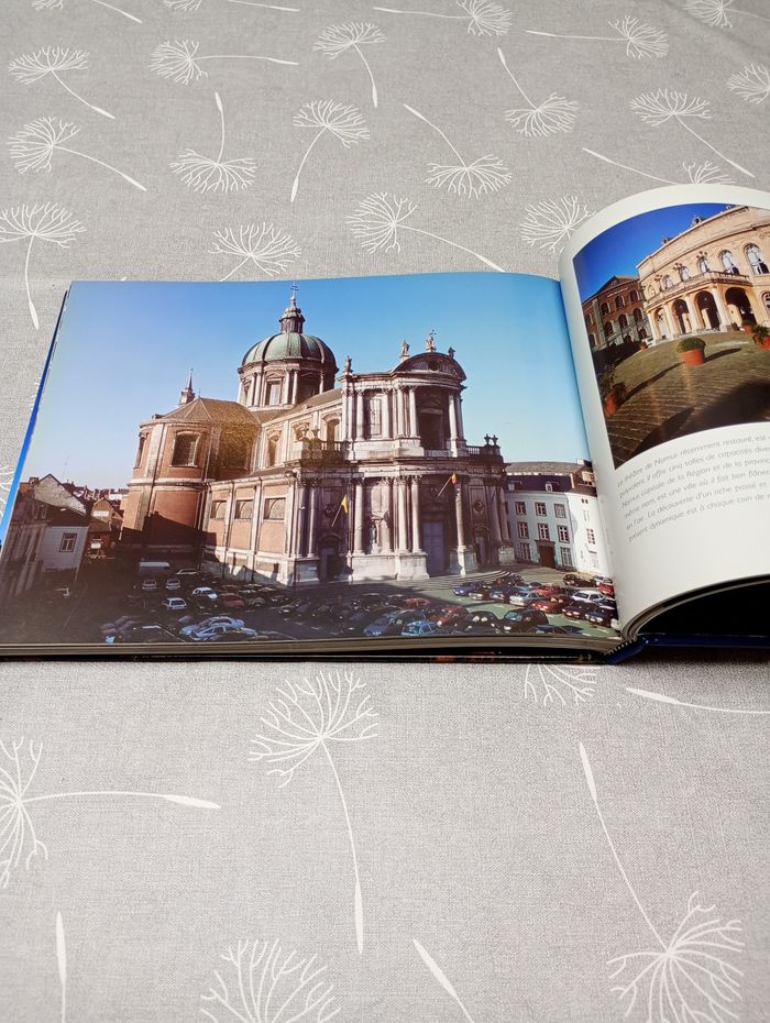 Livre Belgique Duferco - photo numéro 5