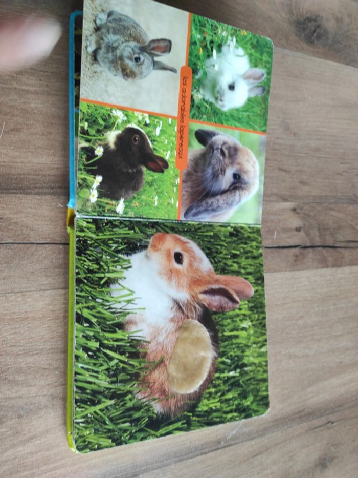 Regarde et touche ! - photo numéro 5