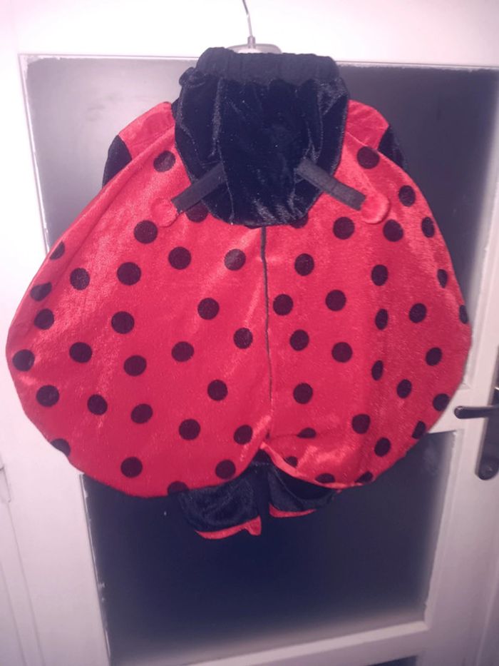 Combinaison déguisement coccinelle 12/18 mois - photo numéro 3