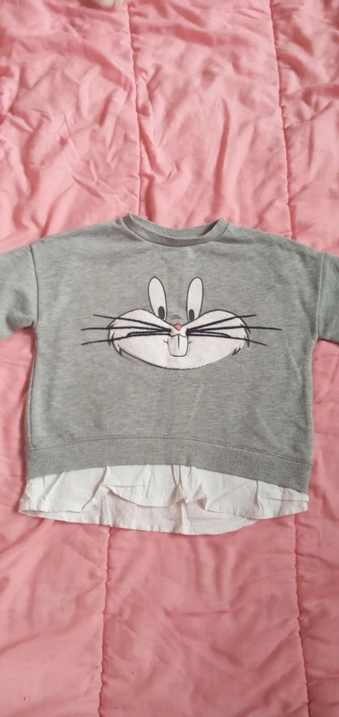 Pull Looney tunes Zara baby 3/4 ans