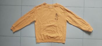 Pull Motif skate 11/12 ans 152cm
