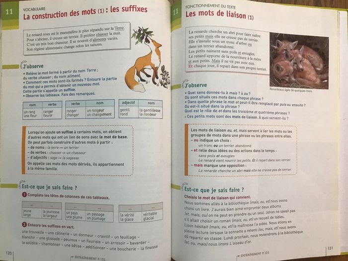 Facettes Français CE1 - manuel de l’élève + livret de code - photo numéro 5