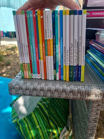 Lot de 26 livres McDonald's