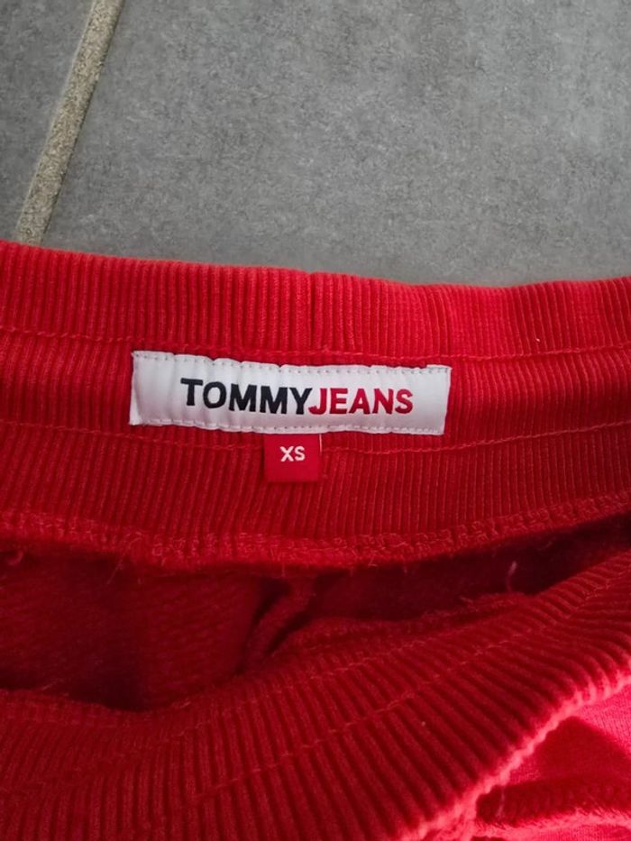 Short coton tommy - photo numéro 3