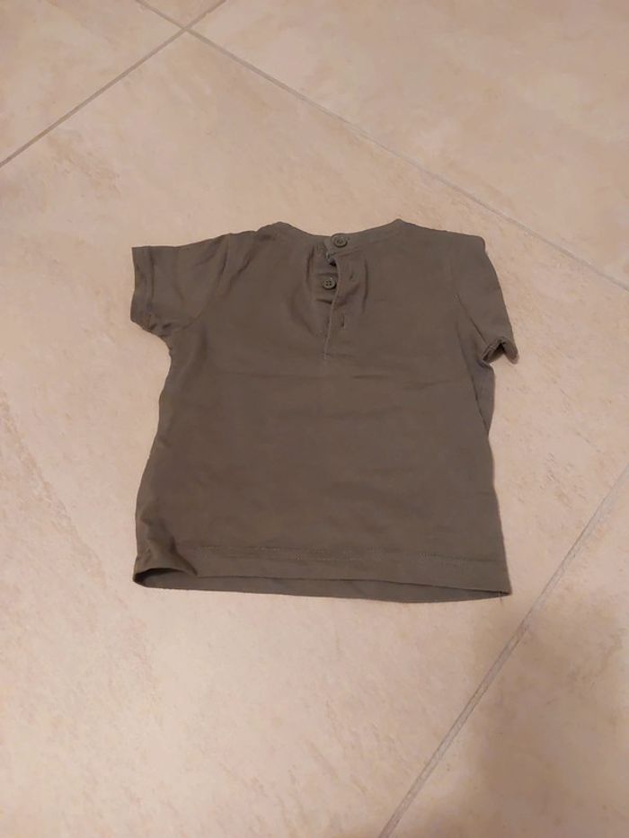 Tshirt tortues - photo numéro 2