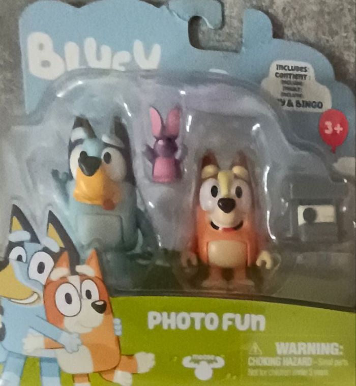 Bluey Bingo Photo Fun