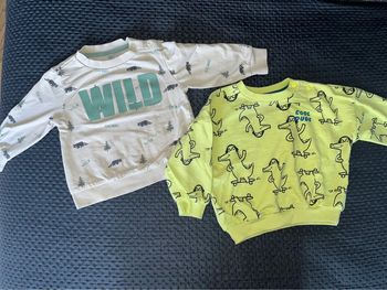 Lot de 2 sweats bébé garçon 18 mois Zeeman