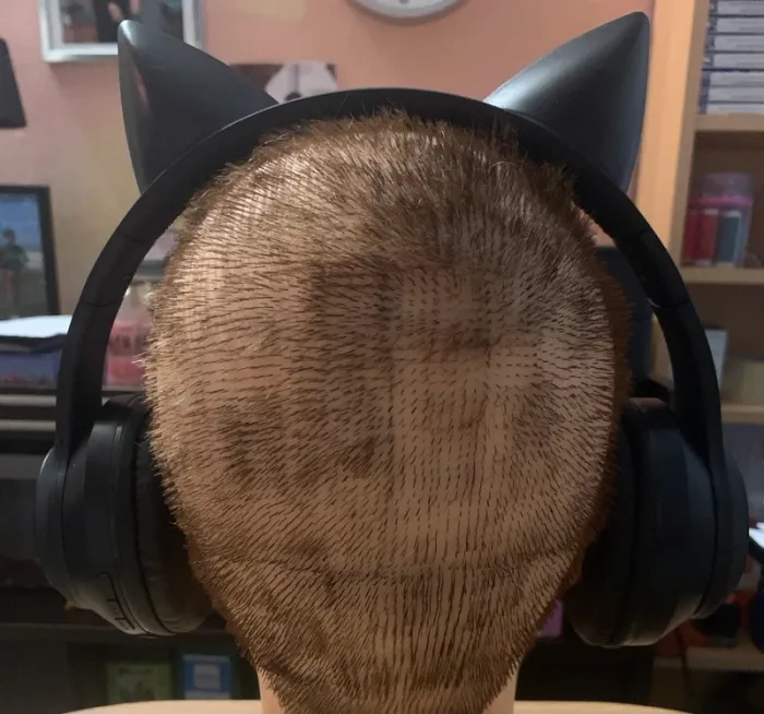 Casque - photo numéro 3