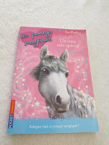 Livre Les poneys magiques n° 2