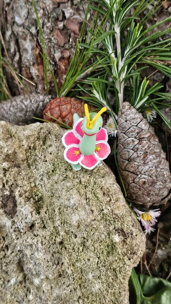 Super figurine Pokemon nintendo Macronium 