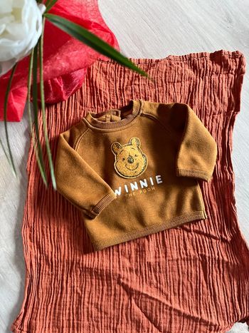 Sweat Winnie Disney 3mois