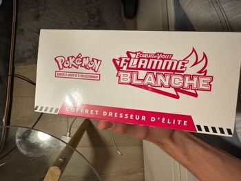 Etb flamme blanche ev 10,5 pokemon