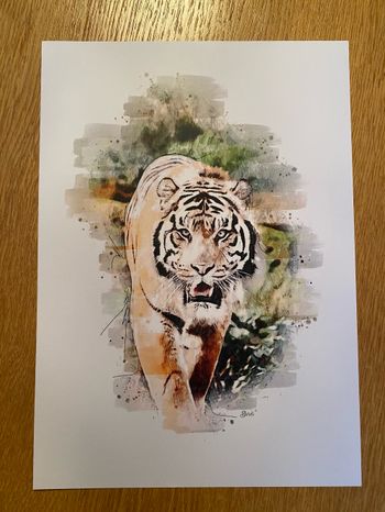 Affiche tigre  style aquarelle