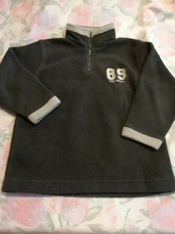 Pull polaire