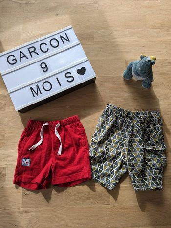 Lot 2 shorts