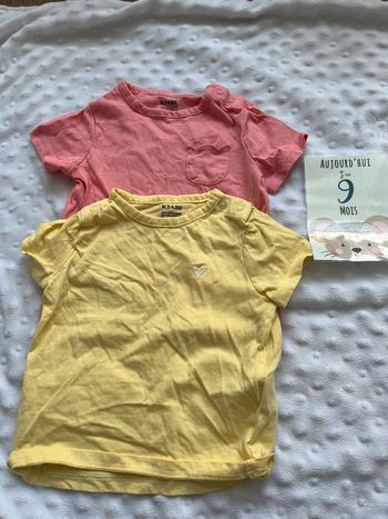 Lot de 2 tee shirts manches courtes