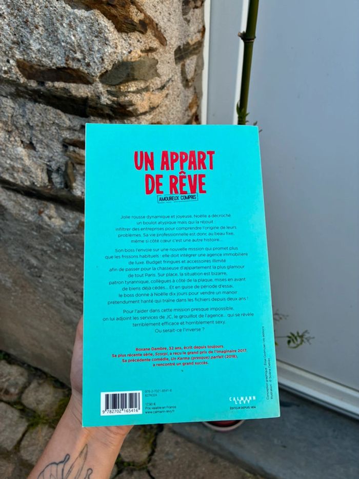Un appart de rêve amoureux compris - photo numéro 4