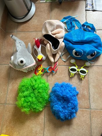 Lot de perruqyes et lunettes