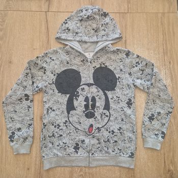 Gilet Disneyland Paris