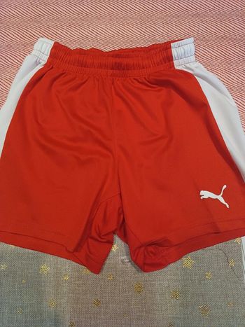 Short puma 10 ans