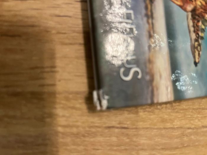 Livre sur les dinosaures 🦖 - photo numéro 2