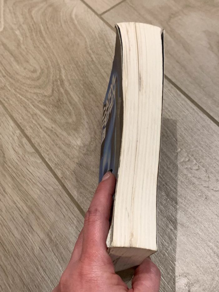 Lëd caryl férey - photo numéro 3