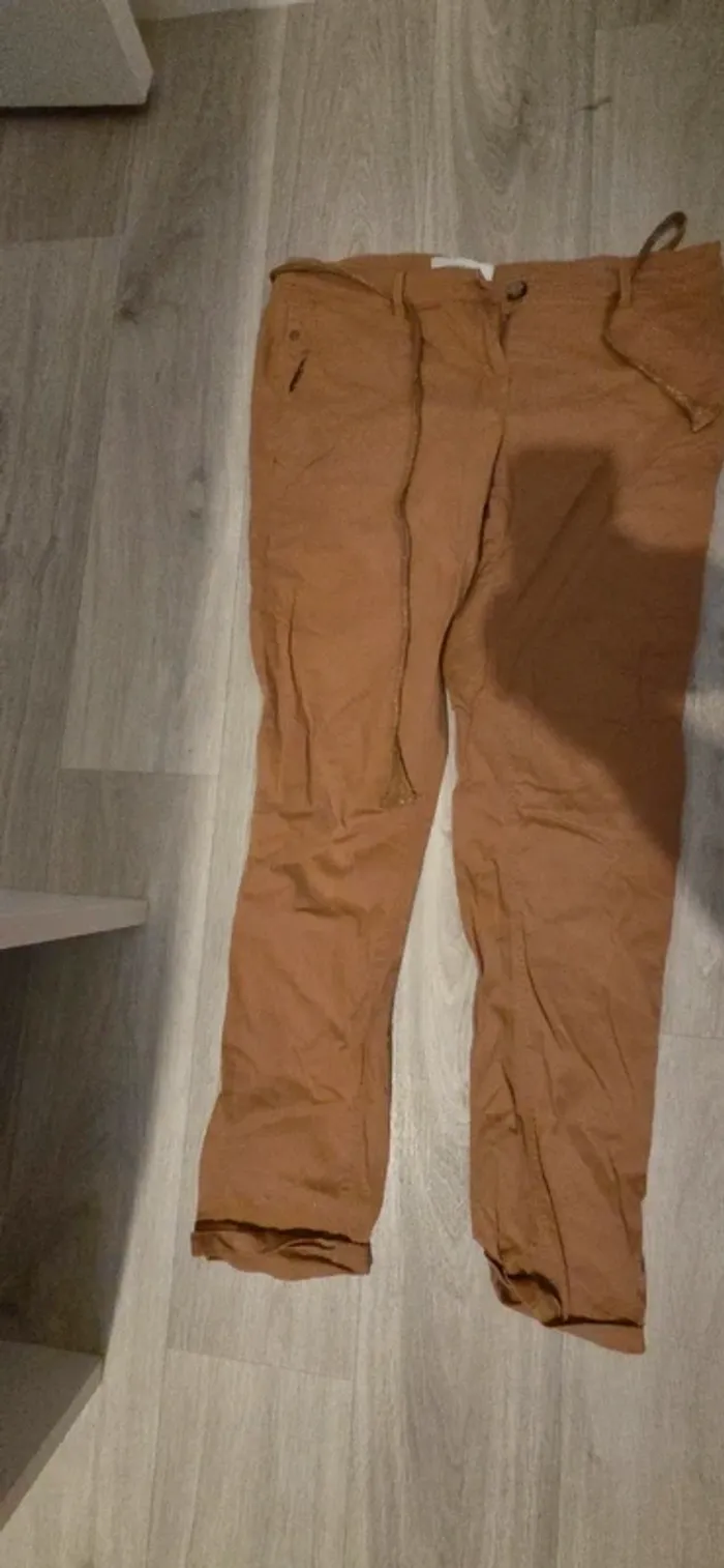 Chino camel