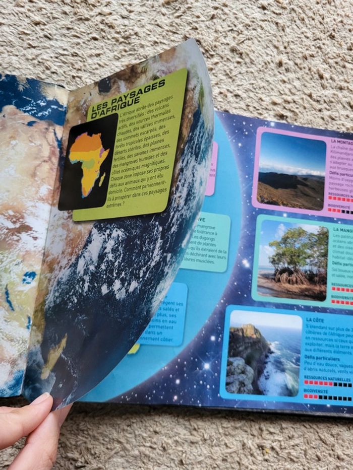 Livre documentaire enfants Zoom sur les animaux d'Afrique - photo numéro 8