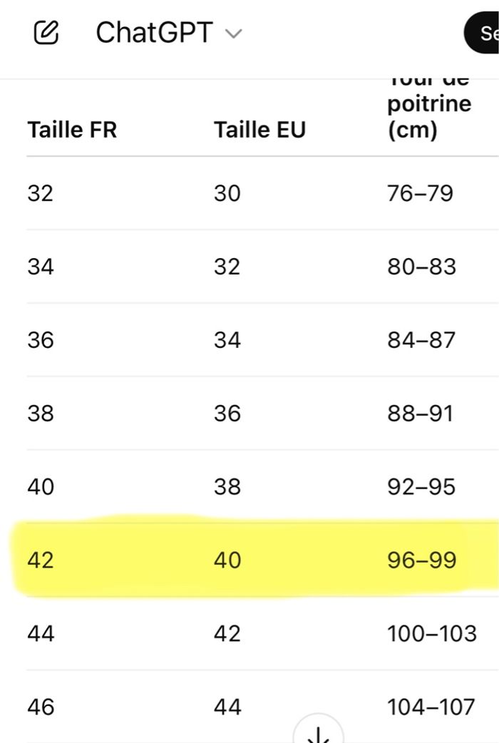 Pull »Fashion Private Company »gris et argenté - photo numéro 10