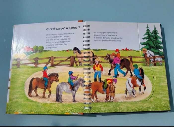 Livre animé à volets Les P'tits Juniors : 🐴 Les Poneys 🧲 35 - photo numéro 3