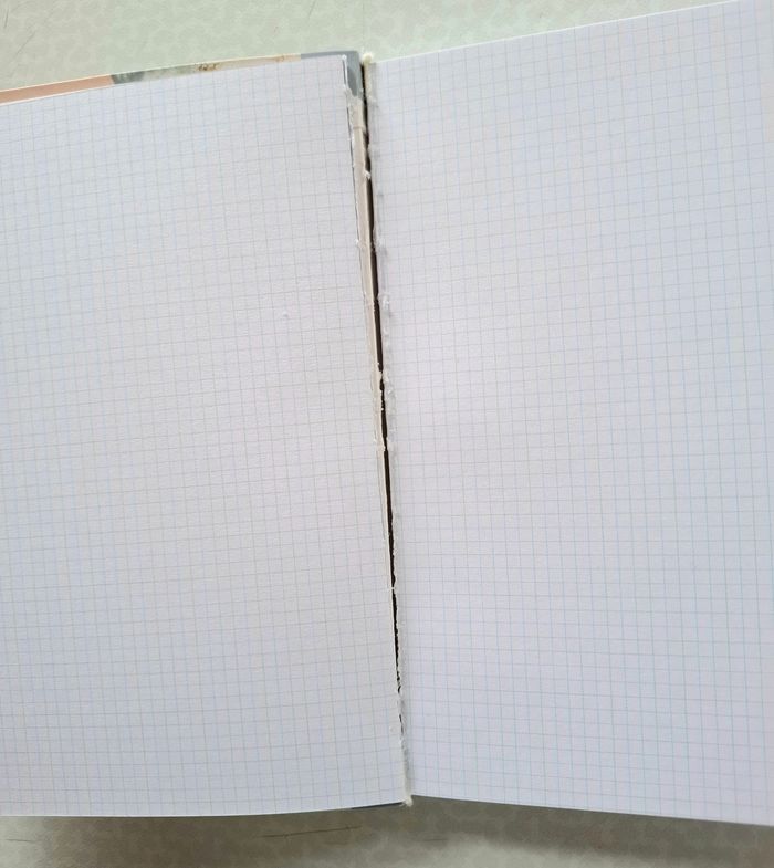 Bullet Journal Scrapbooking - photo numéro 9