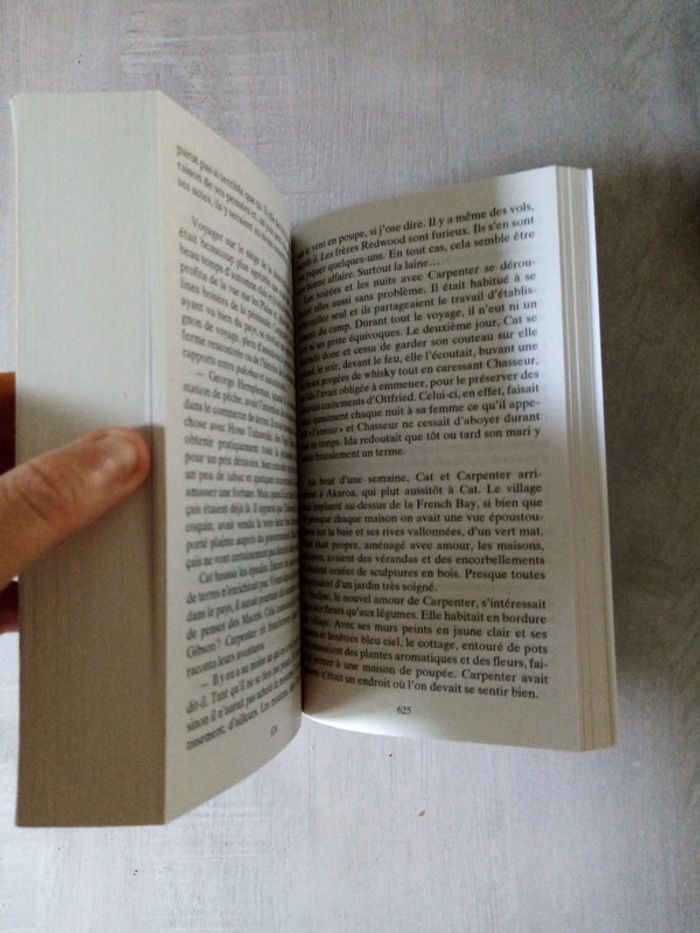 Fleurs de feu - photo numéro 4