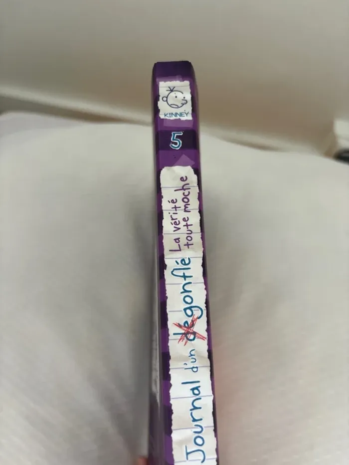 Livre journal d’un dégonflé - photo numéro 4