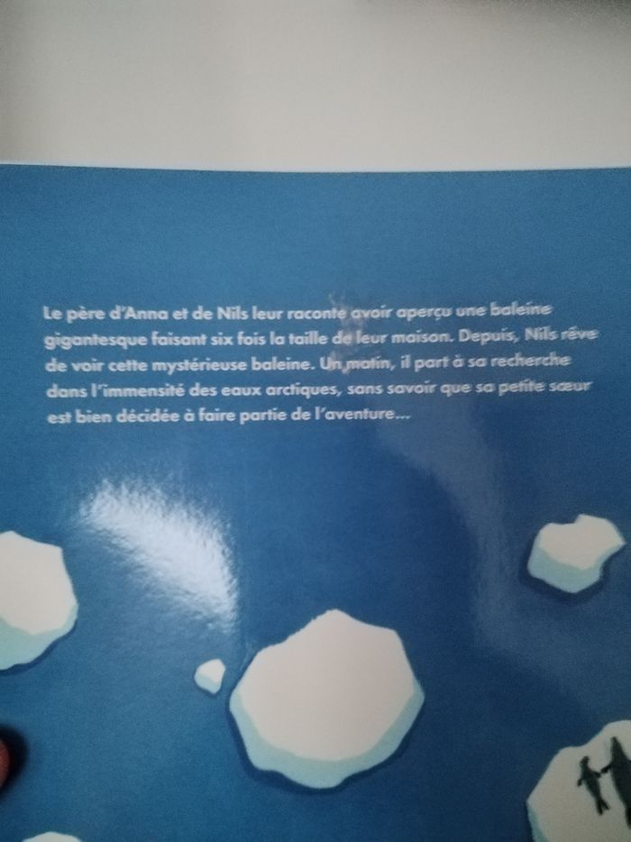 Livre : La mystérieuse baleine - photo numéro 4