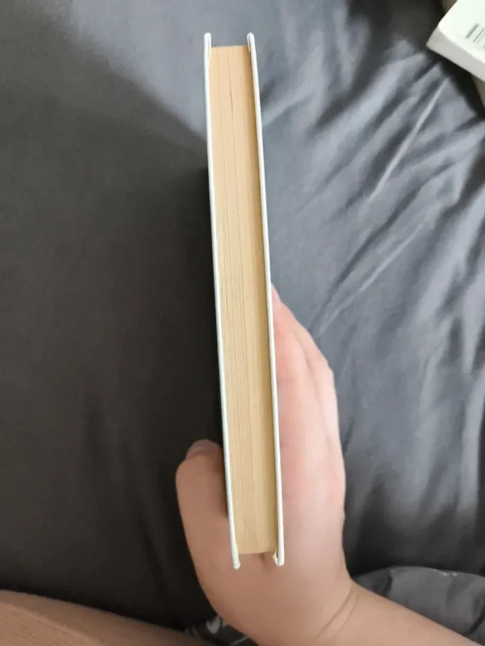 Livre "le tour du monde d'Albert le dragon" - photo numéro 4