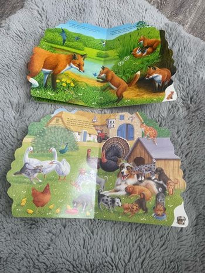 Lot de 2 livres sur la campagne (Trifora) - photo numéro 6