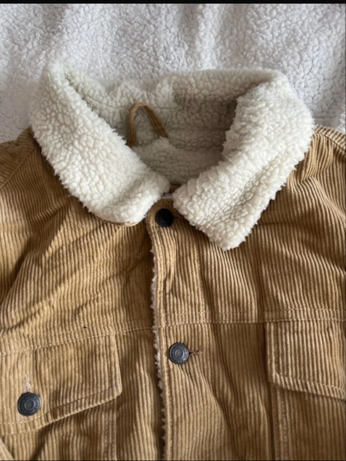 Manteau - photo numéro 2