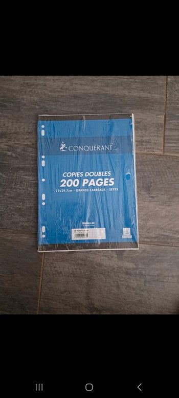 Lot 200 pages copies doubles Conquérant