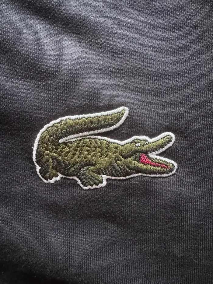 Sweat bleu marine Lacoste taille M - Grand Logo - Neuf - Valeur 150€ - photo numéro 3