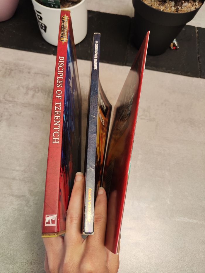 Lot 3 livres Warhammer - photo numéro 3