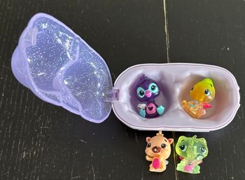 Boîte de 4 hatchimals 