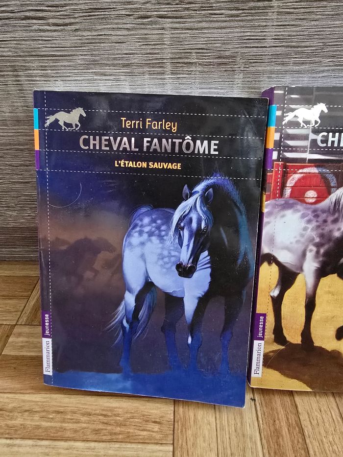Livre "Cheval fantôme" - photo numéro 2