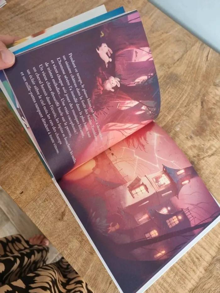 Livre enfant il faut sauver le piano blanc - photo numéro 3
