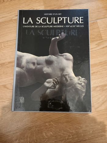 La sculpture l'aventure de la sculpture moderne XIX et XX e siècles
