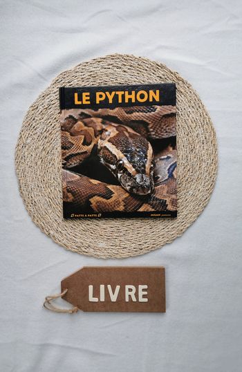 Livre 📙 le python, collection patte à patte