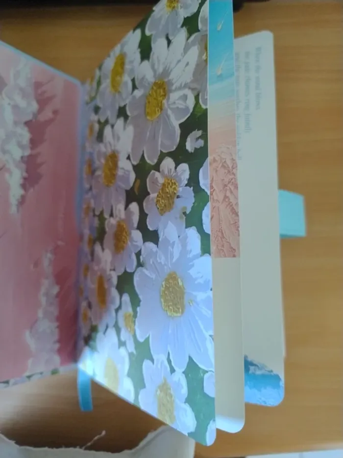 Journal - photo numéro 3